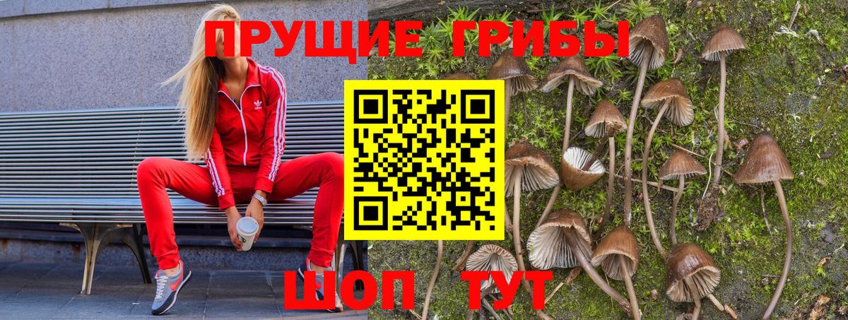 Псилоцибиновые грибы ЛСД  Псилоцибиновые грибы Psilocybine cubensis  как найти   Вход с VPN  Протвино 