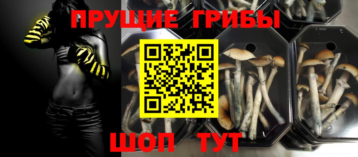 Псилоцибиновые грибы прущие грибы Протвино